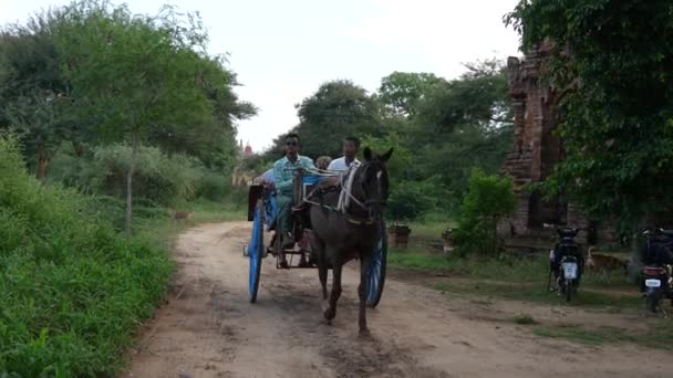 在缅甸巴甘 游客骑着马和汽车拍照 — 图库视频影像