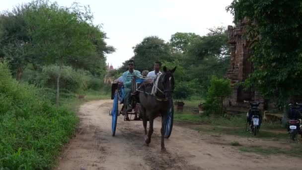 Turistas Conduciendo Caballo Coche Haciendo Una Foto Bagan Myanmar Birmania — Vídeos de Stock