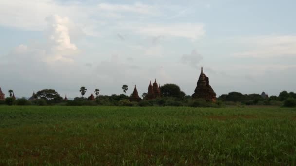 Τηγάνι Από Τοπίο Pagodas Bagan Μιανμάρ Βιρμανία — Αρχείο Βίντεο