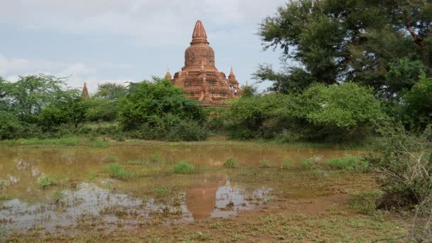 Reflexion Der Pagode Einer Pfütze Bagan Myanmar Burma — Stockvideo