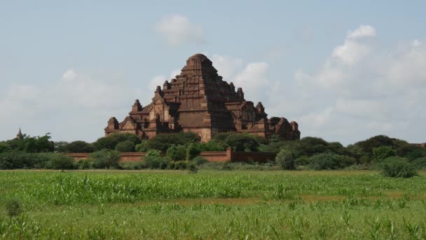 Świątynia Dhammayan Gyi Bagan Myanmar Birma — Wideo stockowe