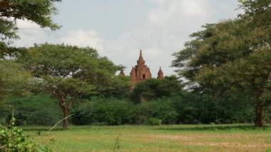 Bagan, Myanmar, Burma 'da Pagoda manzaralı bir orman.