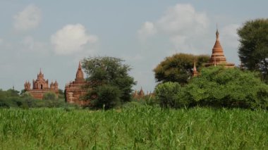 Bagan, Myanmar, Burma 'daki Pagodas manzarası