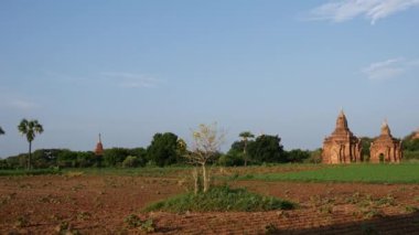 Bagan, Myanmar, Burma 'daki Pagodas arazisinden pan