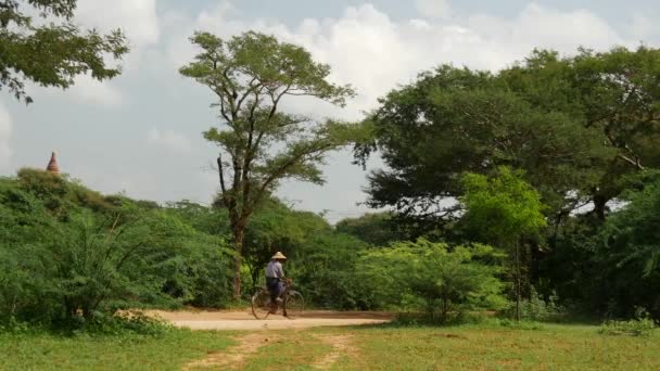 Agricultor Bicicleta Através Bagan Mianmar Birmânia — Vídeo de Stock
