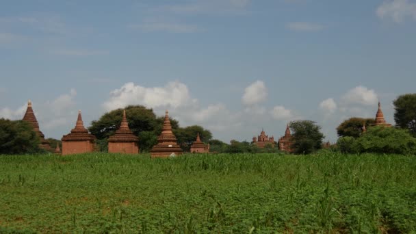 Krajobraz Pagody Rowerem Elektrycznym Przejeżdżającym Przez Bagan Myanmar Birmę — Wideo stockowe