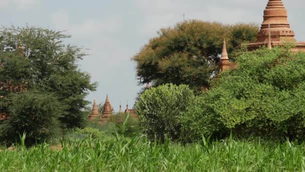 Krajobraz Pagody Bagan Myanmar Birma — Wideo stockowe