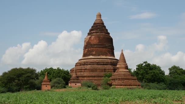 Gran Pagoda Bagan Myanmar Birmania — Vídeos de Stock