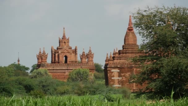 Pagodas Landskap Bagan Myanmar Burma — Stockvideo