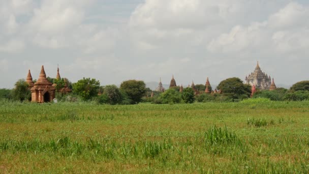 Byin Nyu Templet Och Pagodas Bagan Myanmar Burma — Stockvideo