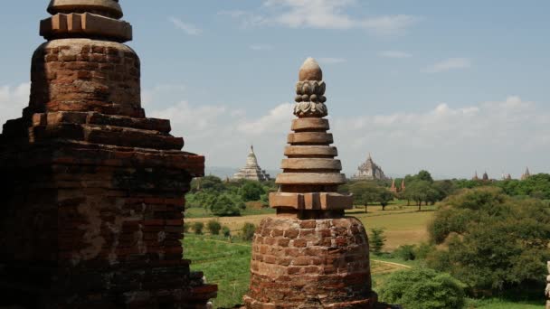 Pagodas Landschap Bagan Myanmar Birma — Stockvideo