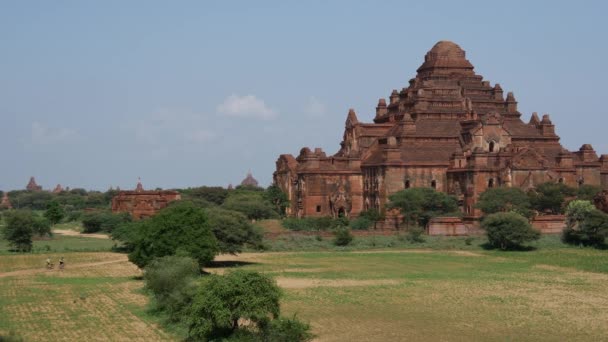 Templo Dhammayan Gyi Bagan Myanmar Birmania — Vídeos de Stock