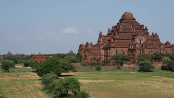 Dhammayan Gyi Temple Bagan Μιανμάρ Βιρμανία — Αρχείο Βίντεο