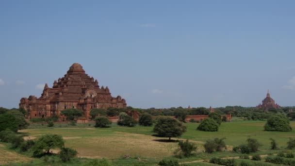 Pan Från Dhammayan Gyi Templet Bagan Myanmar Burma — Stockvideo