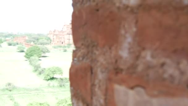 Διαφάνεια Στο Ναό Dhammayan Gyi Στο Bagan Μιανμάρ Βιρμανία — Αρχείο Βίντεο