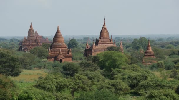 Τοπίο Pagodas Bagan Μιανμάρ Βιρμανία — Αρχείο Βίντεο