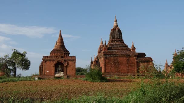 Pagodas Bagan Myanmar Burma — Stockvideo