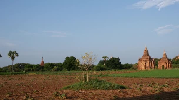 Pfanne Aus Pagodenlandschaft Bagan Myanmar Burma — Stockvideo