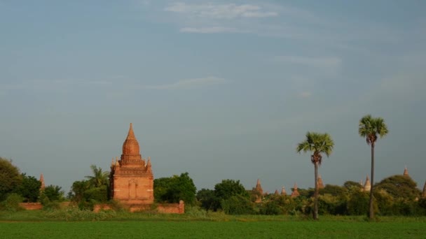 Пан Пейзажа Пагод Багане Мьянма Бирма — стоковое видео