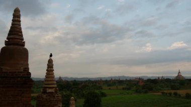 Bagan 'da Myanmar, Burma adında bir kuşla Pagodas manzarası