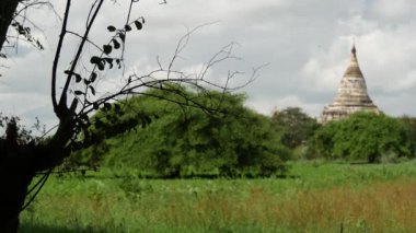 Beyaz Pagoda, Bagan, Myanmar, Burma