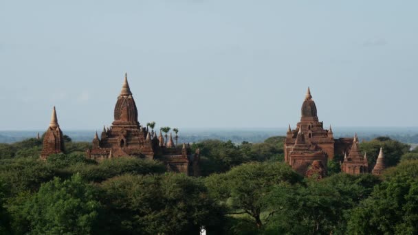 Pagodák Táj Bagan Mianmar Burma — Stock videók