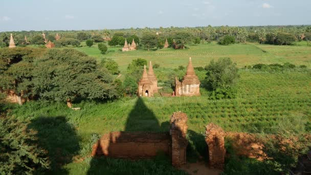 Pagodas Stínová Krajina Bagánu Myanmaru Barmě — Stock video