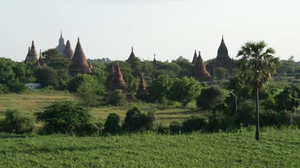 Τοπίο Pagodas Bagan Μιανμάρ Βιρμανία — Αρχείο Βίντεο