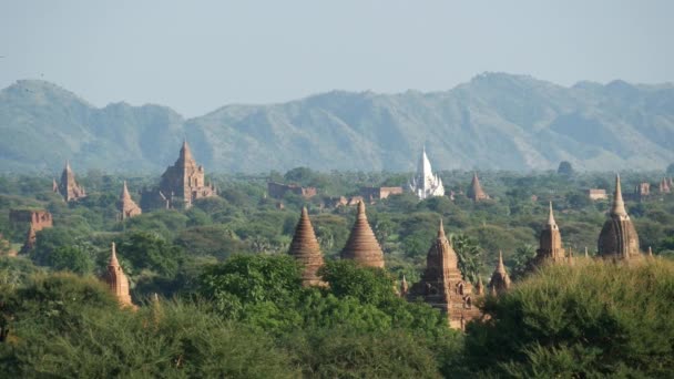 Пейзаж Пагоды Горами Заднем Плане Багане Мьянме Бирме — стоковое видео