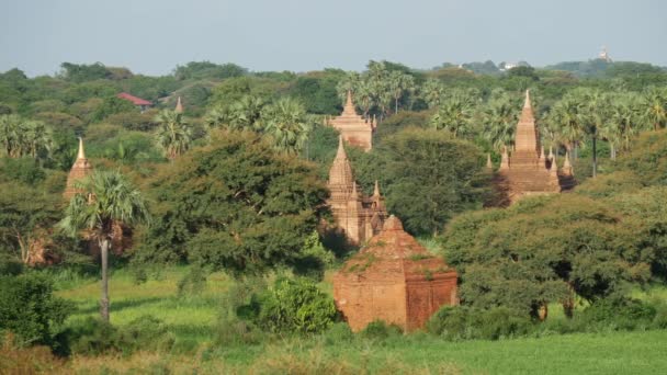Krajobraz Pagody Bagan Myanmar Birma — Wideo stockowe