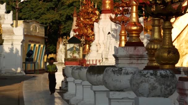 Kölyök Shwezigon Pagoda Mellett Sétál Baganban Mianmarban Burmában — Stock videók