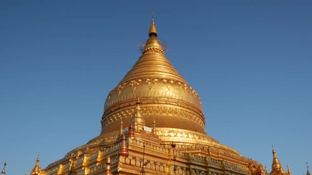 Shwezigon Pagoda Bagan Myanmar Βιρμανία — Αρχείο Βίντεο