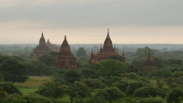 Paysage Des Pagodes Bagan Myanmar Birmanie — Video