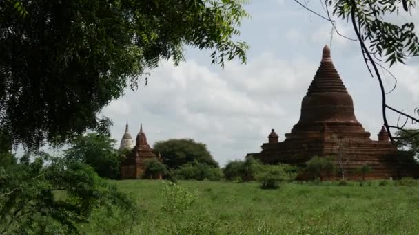 Pagodas Landschap Bagan Myanmar Birma — Stockvideo