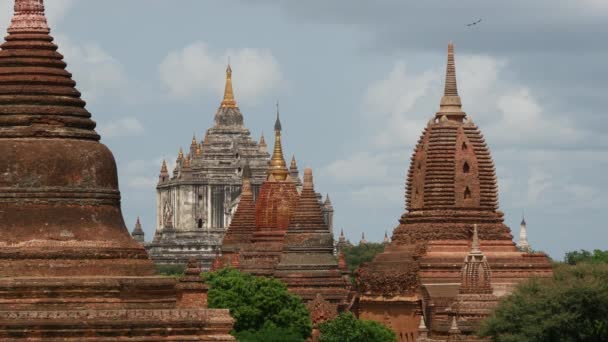 Pagoda Landskap Med Byin Nyu Templet Bagan Myanmar Burma — Stockvideo