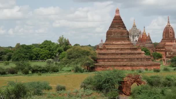 Panela Paisagem Pagode Com Templo Byin Nyu Bagan Mianmar Birmânia — Vídeo de Stock