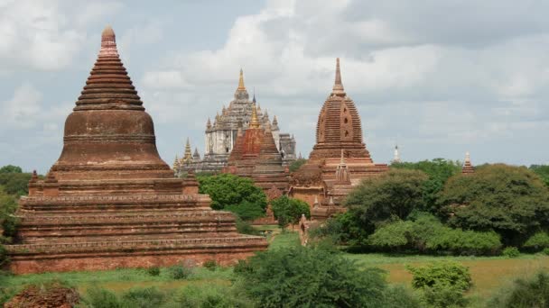 Пейзаж Пагоды Храмом Бьин Багане Мьянма Бирма — стоковое видео