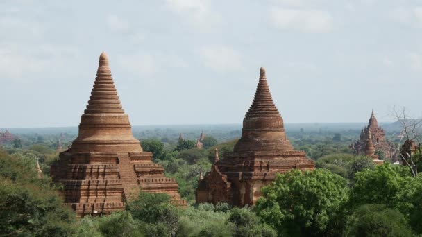 Τοπίο Pagodas Bagan Μιανμάρ Βιρμανία — Αρχείο Βίντεο