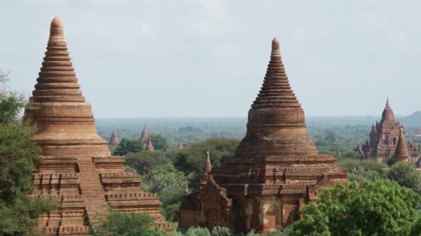 Пейзаж Пагоды Багане Мьянме Бирме — стоковое видео
