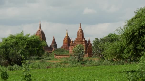 Krajobraz Pagody Bagan Myanmar Birma — Wideo stockowe