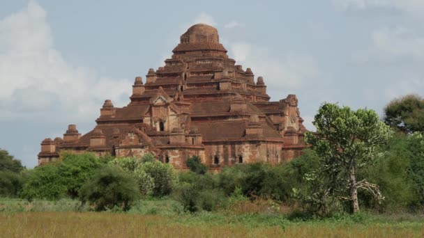 Templul Dhammayan Gyi Din Bagan Myanmar Birmania — Videoclip de stoc