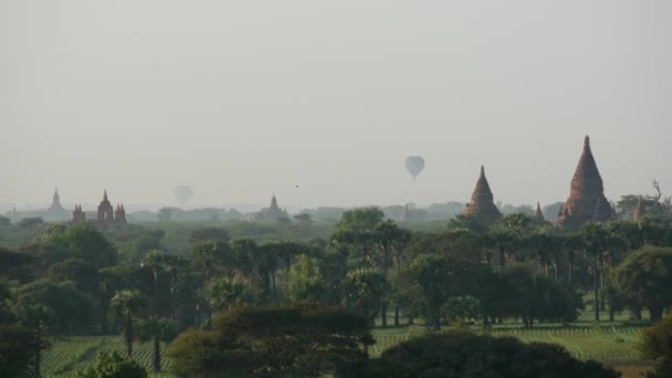 Воздушный Шар Летящий Утром Над Пагодой Багане Мьянме Бирме — стоковое видео
