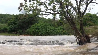 Farako, Afrika, Mali 'de dokumacı kuşlarla birlikte devrildi.