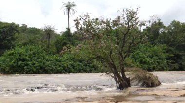 Farako, Afrika, Mali 'de dokumacı kuşlarla birlikte devrildi.