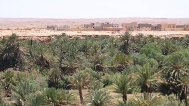 Meski Fas, Afrika 'da Oued Ziz