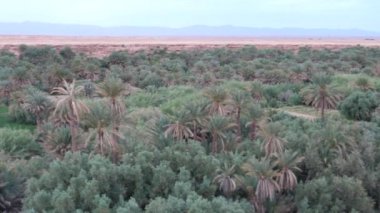 Afrika, Meski Fas 'taki Oued Ziz' den Pan.