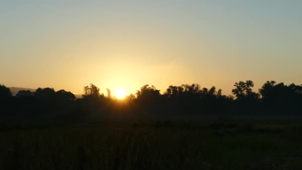 Terreni Agricoli Sunrise Time Lapse Paesaggio Nelle Filippine — Video Stock