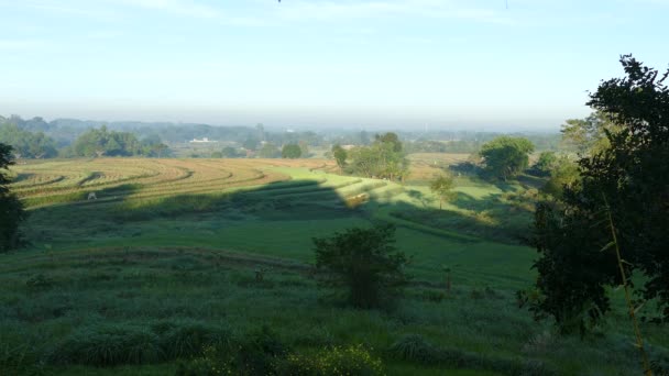 Morgenlandschap Met Rijstterrassen Filipijnen — Stockvideo