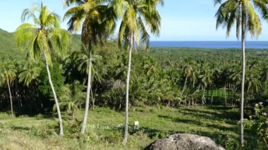 Palmiyeler, tarım arazileri ve okyanus Anda Bohol 'un tepelerinden Filipinler' den görünüyor.