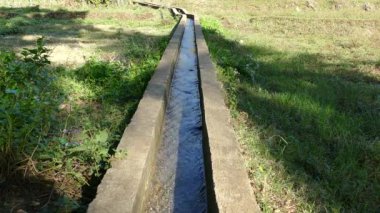 Filipinler, Anda Bohol 'daki tarım arazisindeki su sulama.